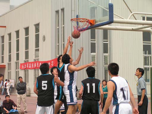 我校在2005年北京市高校篮球联赛(乙组)中喜收硕果