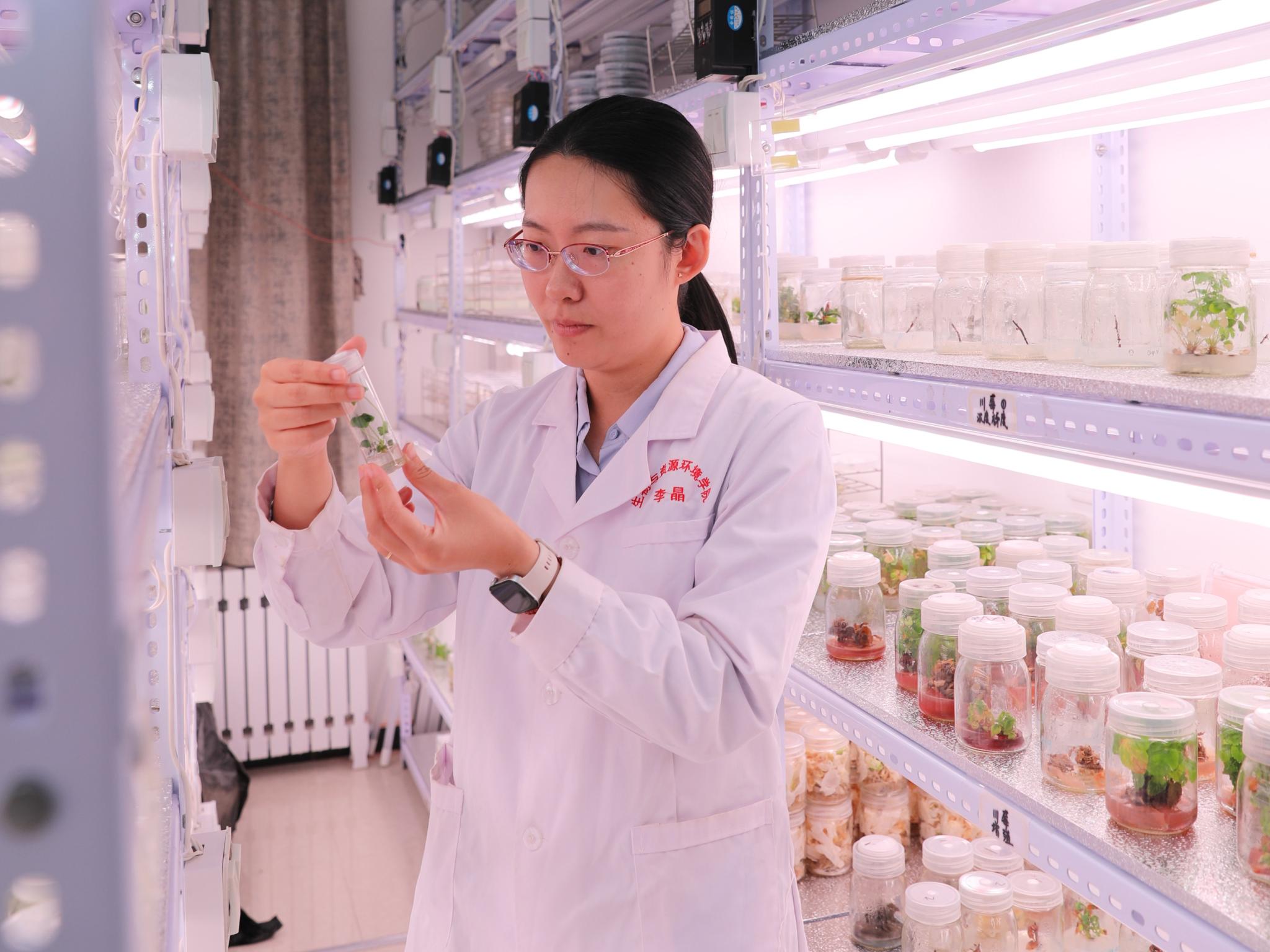 北农榜样 | 李晶:用六年时光诠释了做科研要如农作物一样，努力向下扎根才能向上茁壮成长