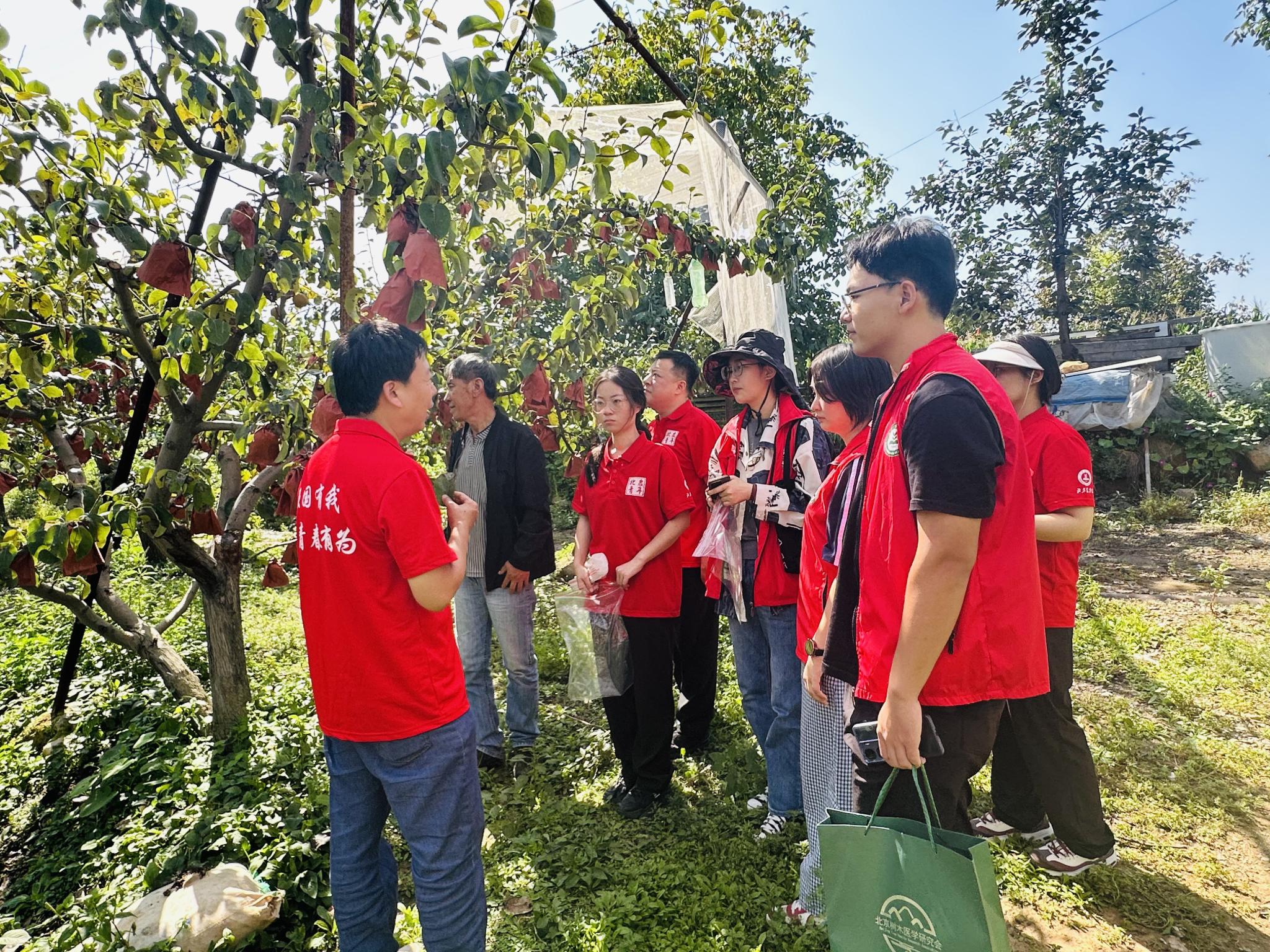 植物医院工作坊护航“梨”香盛夏-“科技村课”赋能梨园绿色防控