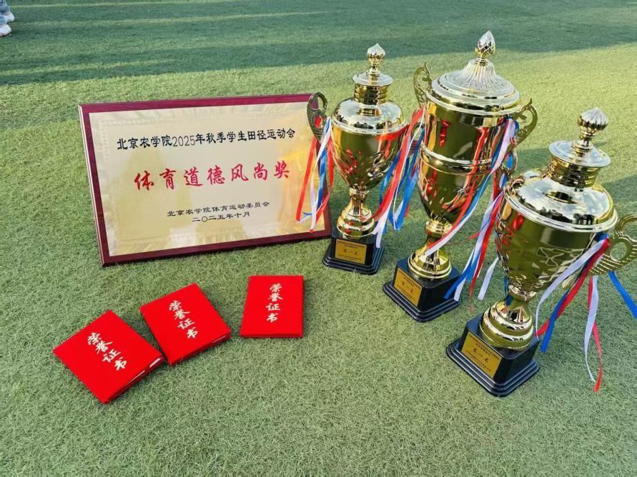 秋风拂场，青春逐梦|生资学子蝉联新生运动会冠军！