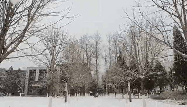 微视频 | 冬雪满园的北农，打包送给你！