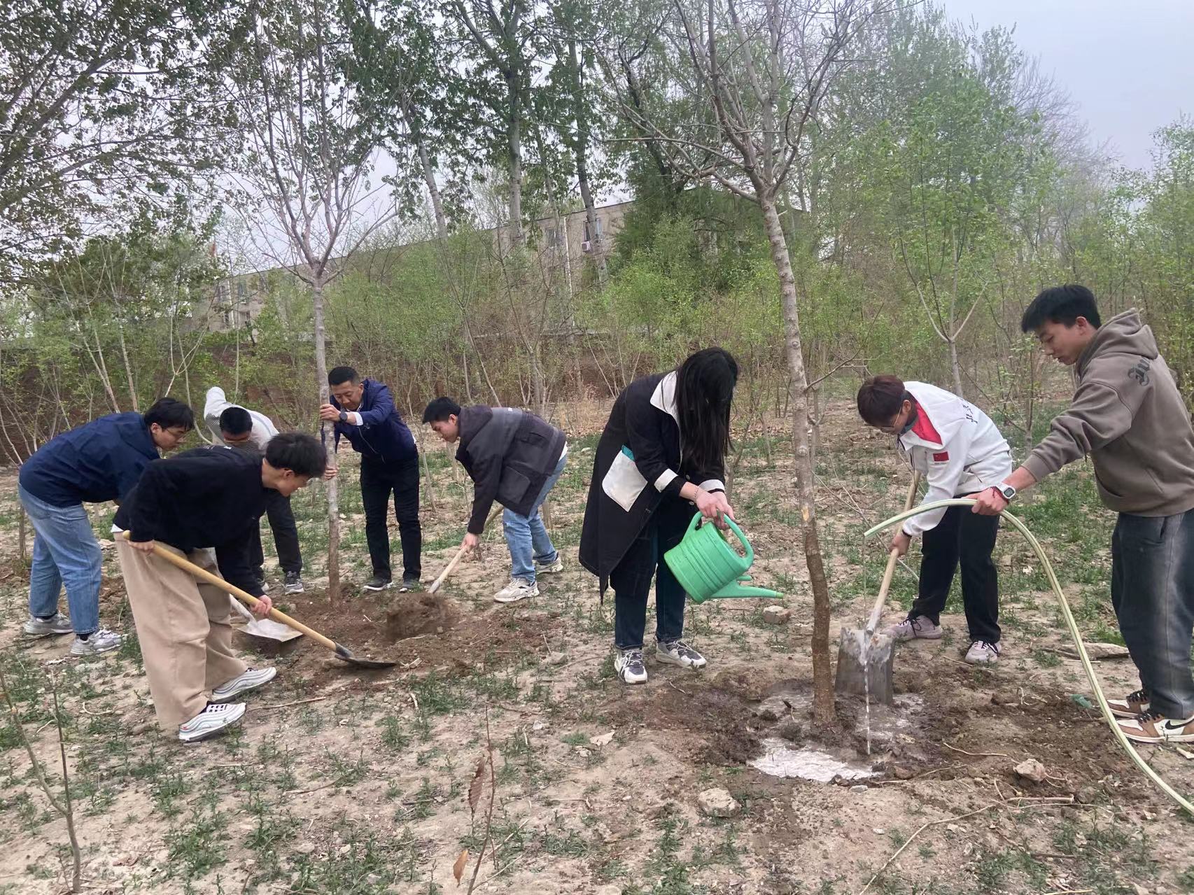 我校园林学院获评“首都全民义务植树先进单位” 欢迎访问北京农学院学校新闻网