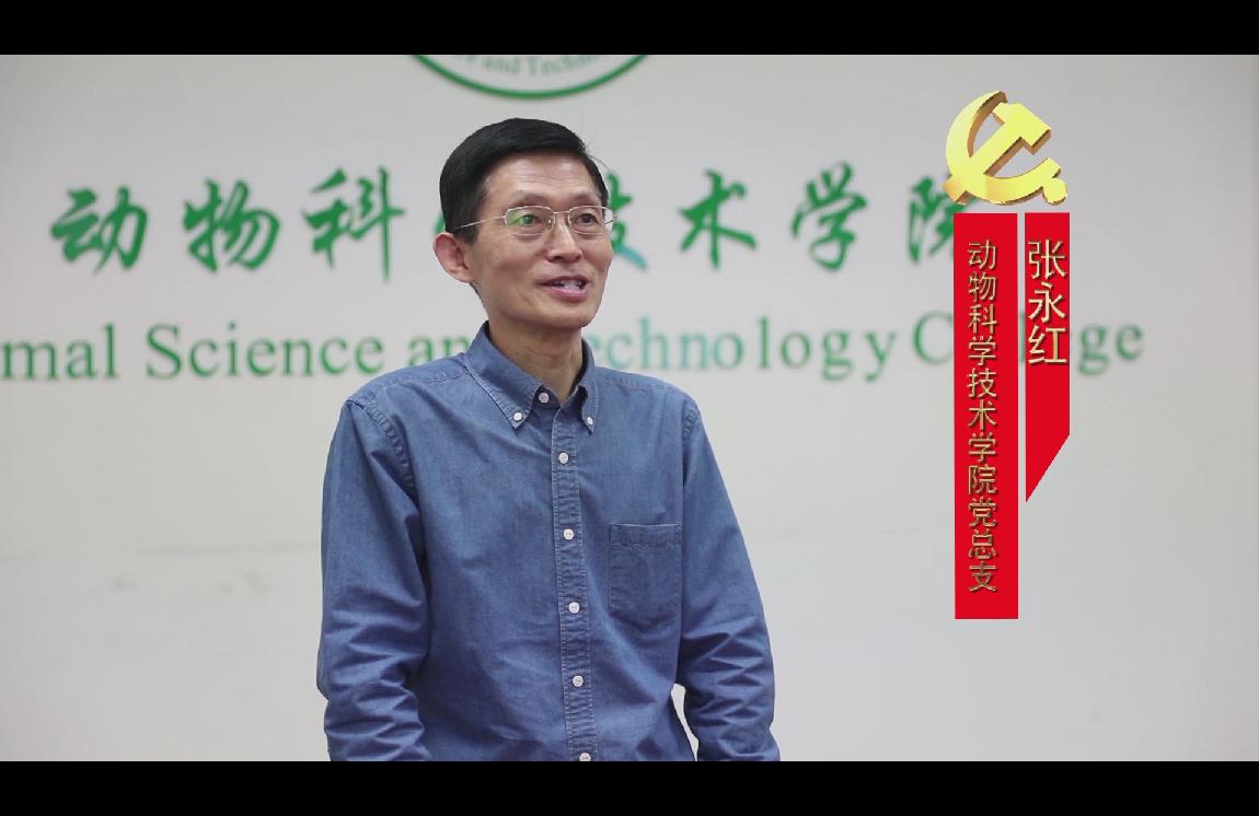 【微视频】党代会代表访谈丨张永红：期待第四次党代会为学校发展绘出更绚丽的蓝图