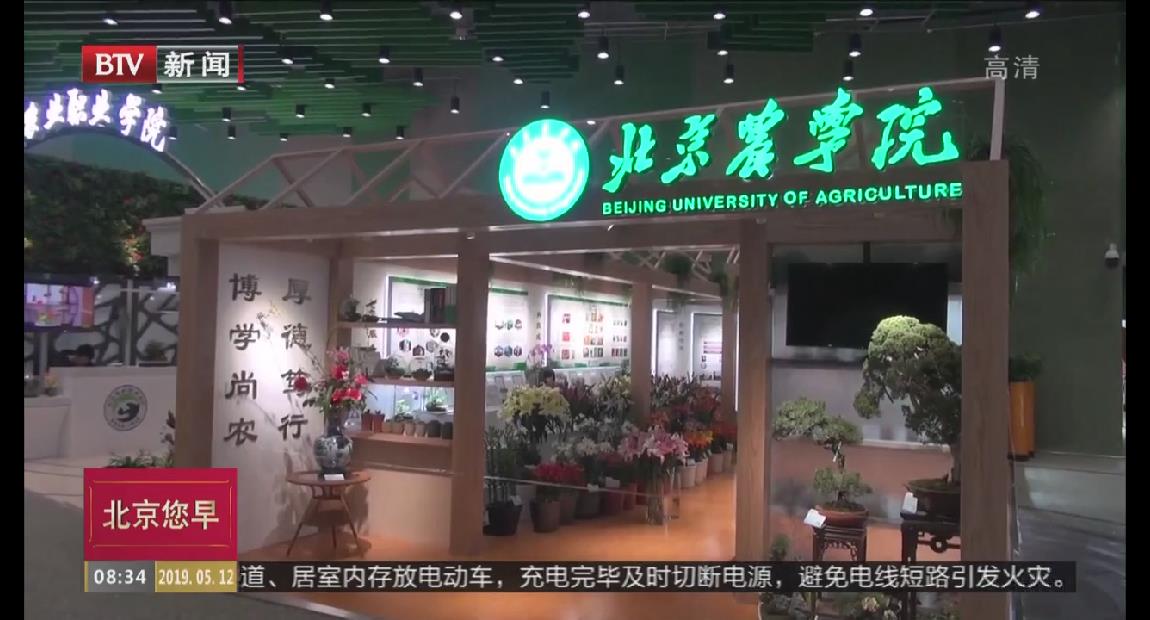 【BTV新闻】北京高校自育的百合新品种 亮相世园会