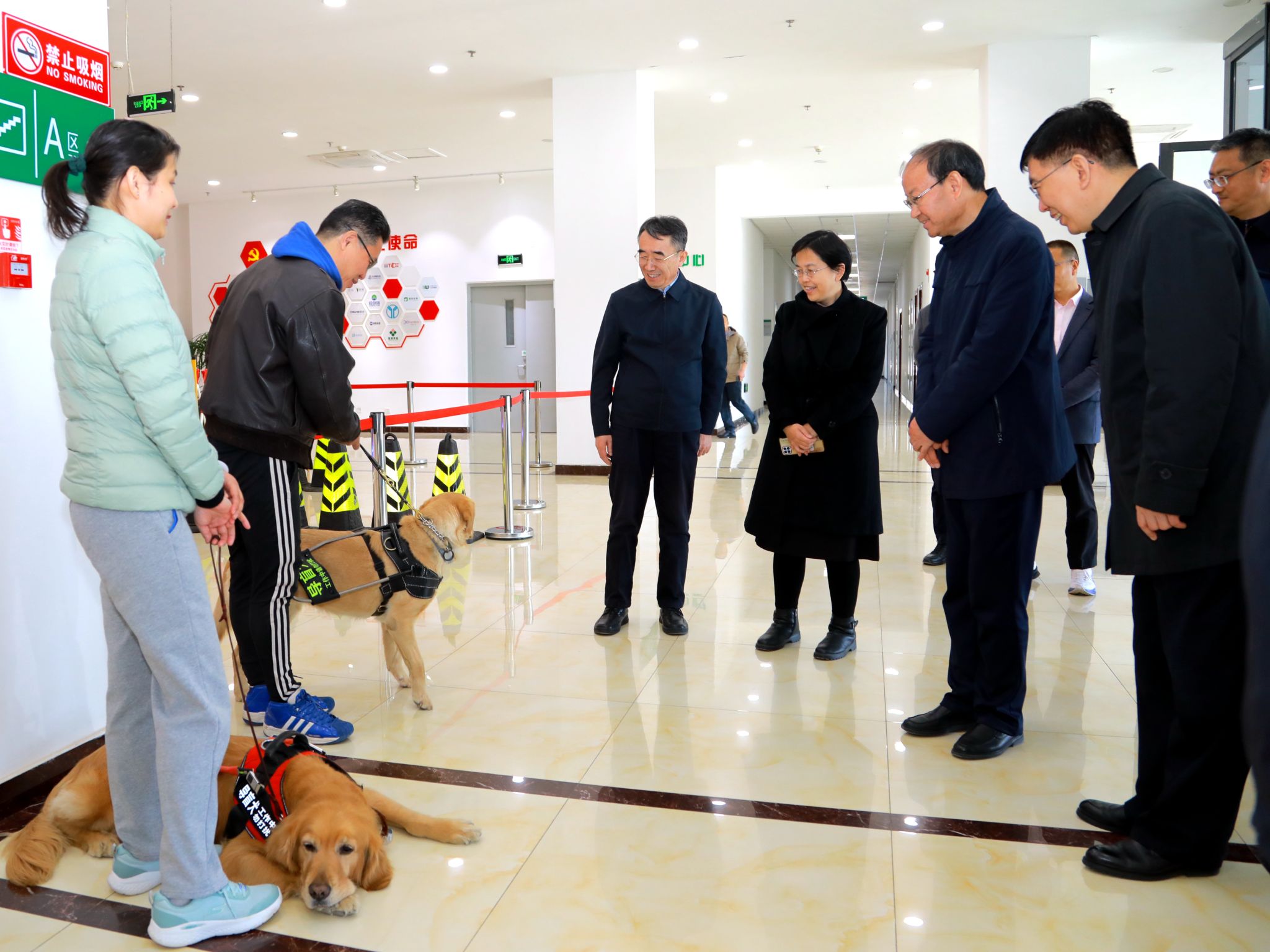 广州导盲犬训练基地图片
