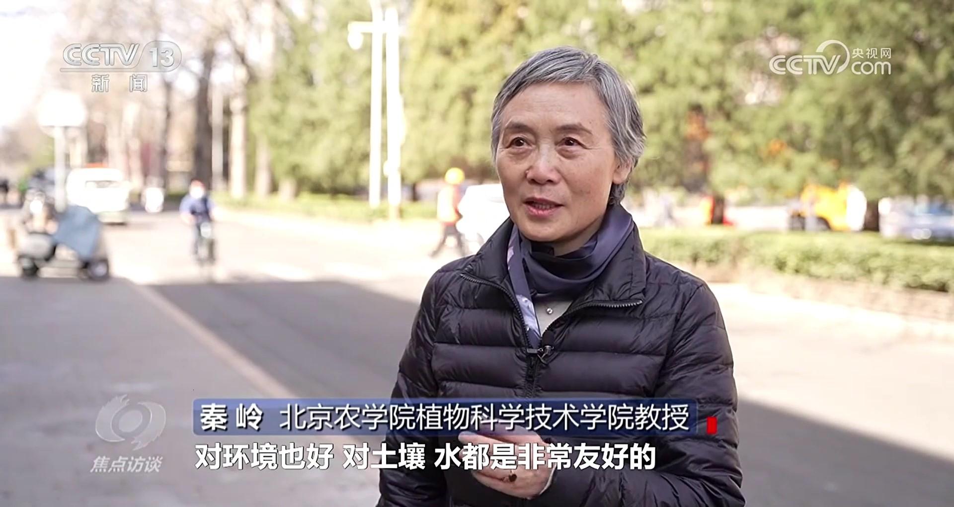 央视《焦点访谈》报道北农圆柏花粉治理成果