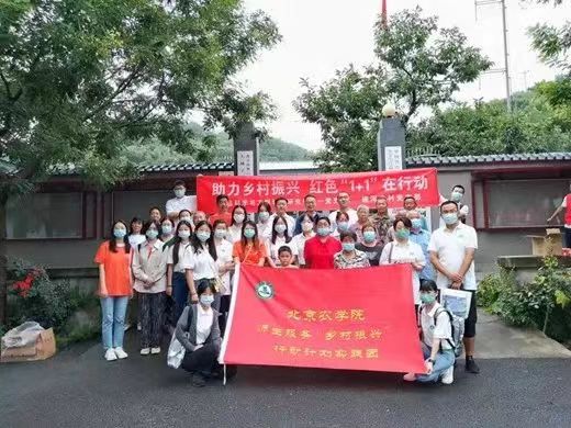 服务乡村振兴进行时|“小荞人家”实践团赴碰河寺村助力乡村振兴