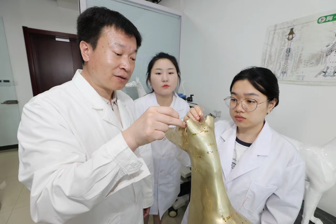 【北京日报】北京农学院中兽医专业教师研发“针灸铜犬” -欢迎访问北京农学院学校新闻网
