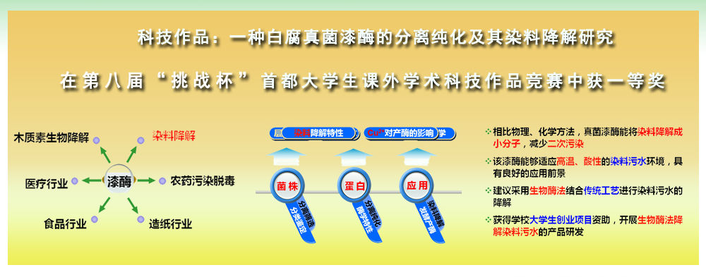 科技作品“一种白腐真菌漆酶的分离纯化及其染料降解研究”获首都“挑战杯”一等奖