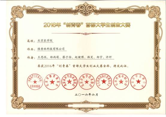 2016首都创青春-金奖-王思悦.jpg